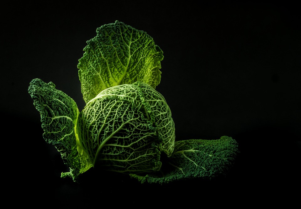 La cocina como arte: secretos para combinar sabores y texturas